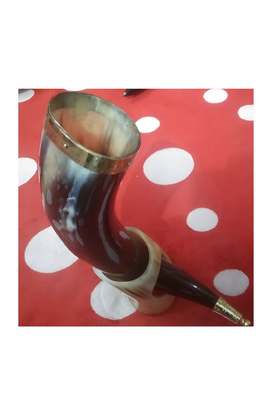 Drinking Horn