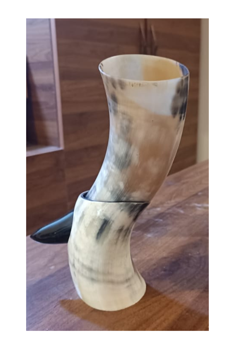 Drinking Horn