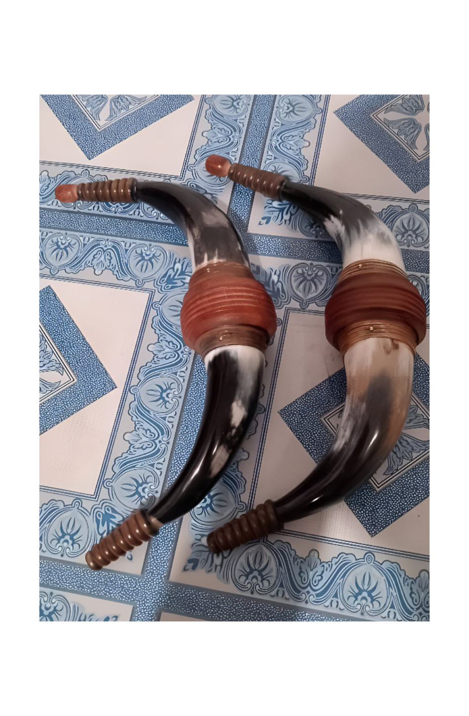 Drinking Horn