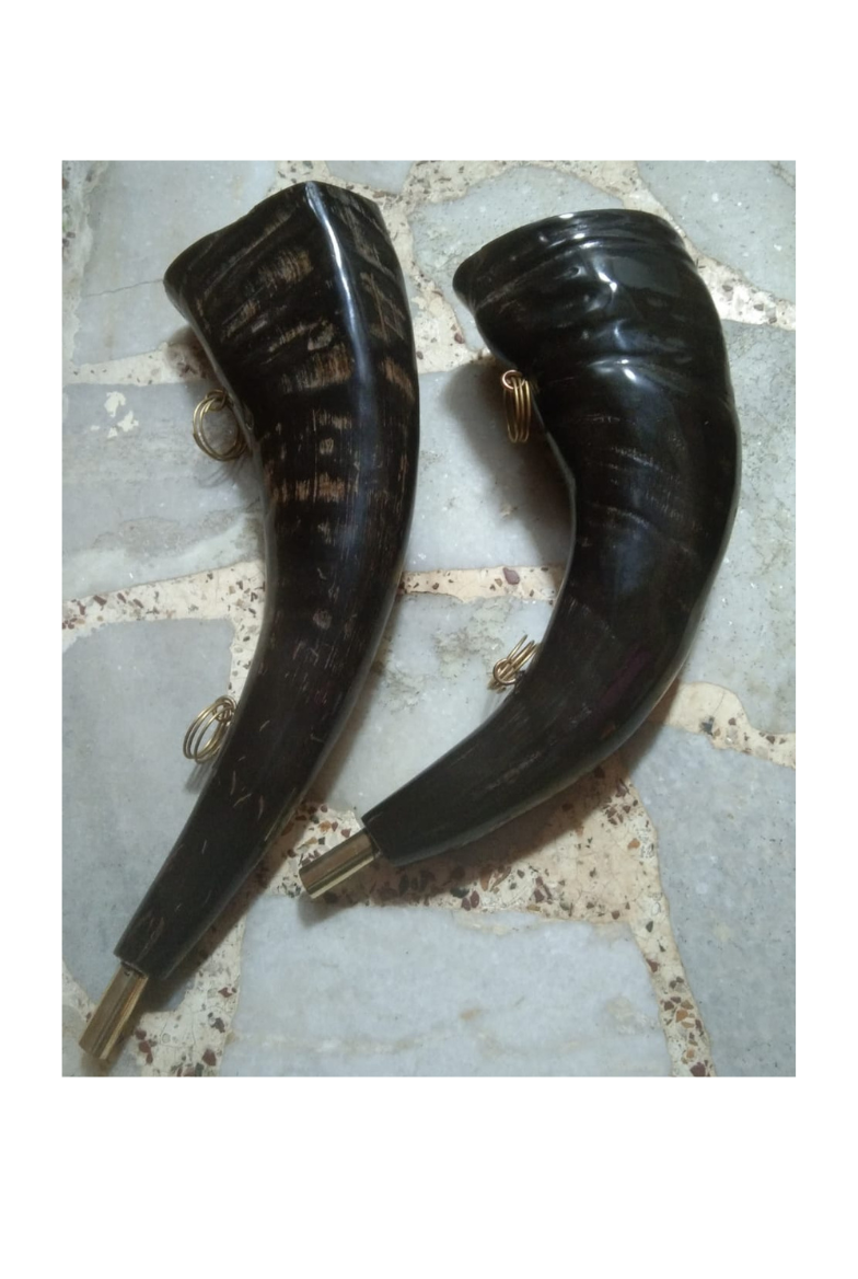 Drinking Horn