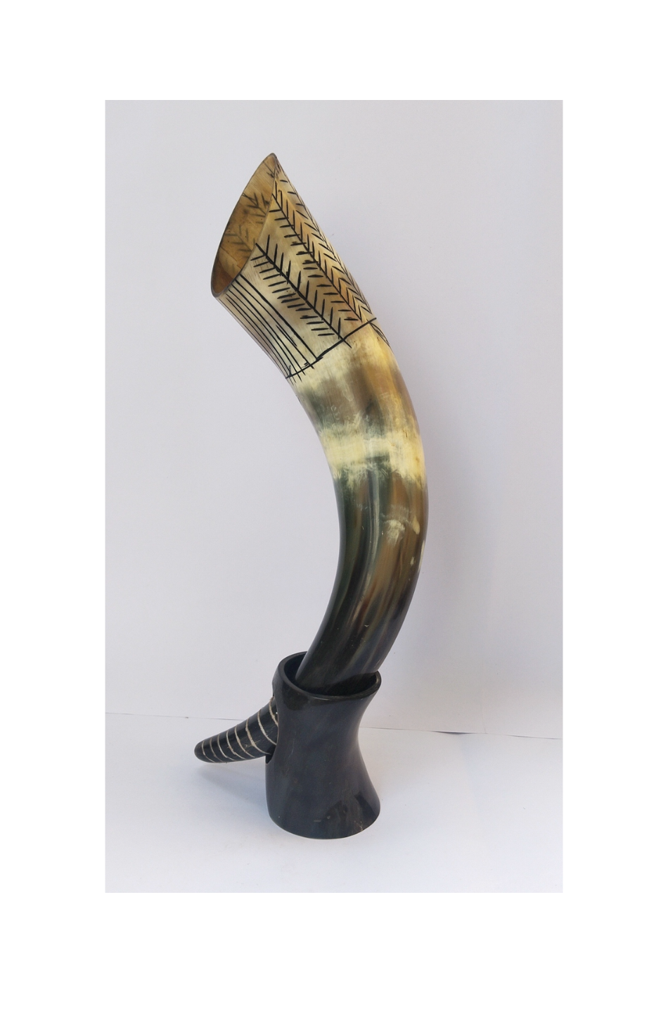 Drinking Horn