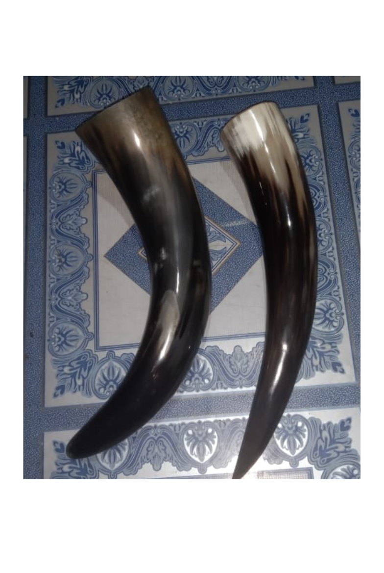 Drinking Horn